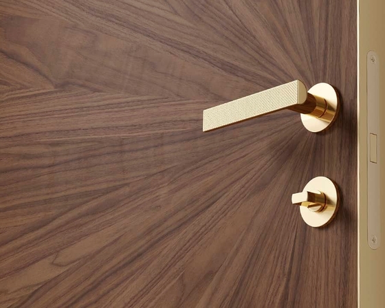 Дизайнерские двери